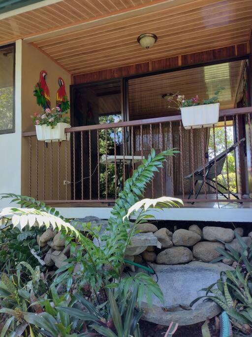 Eco Villas Tambor Tucanes Exterior foto