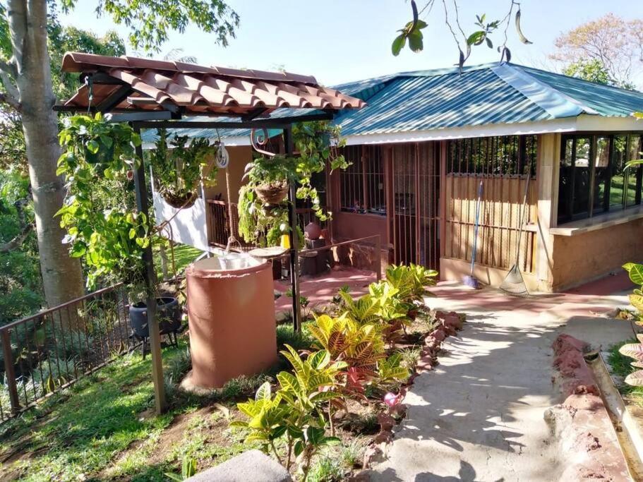 Eco Villas Tambor Tucanes Exterior foto