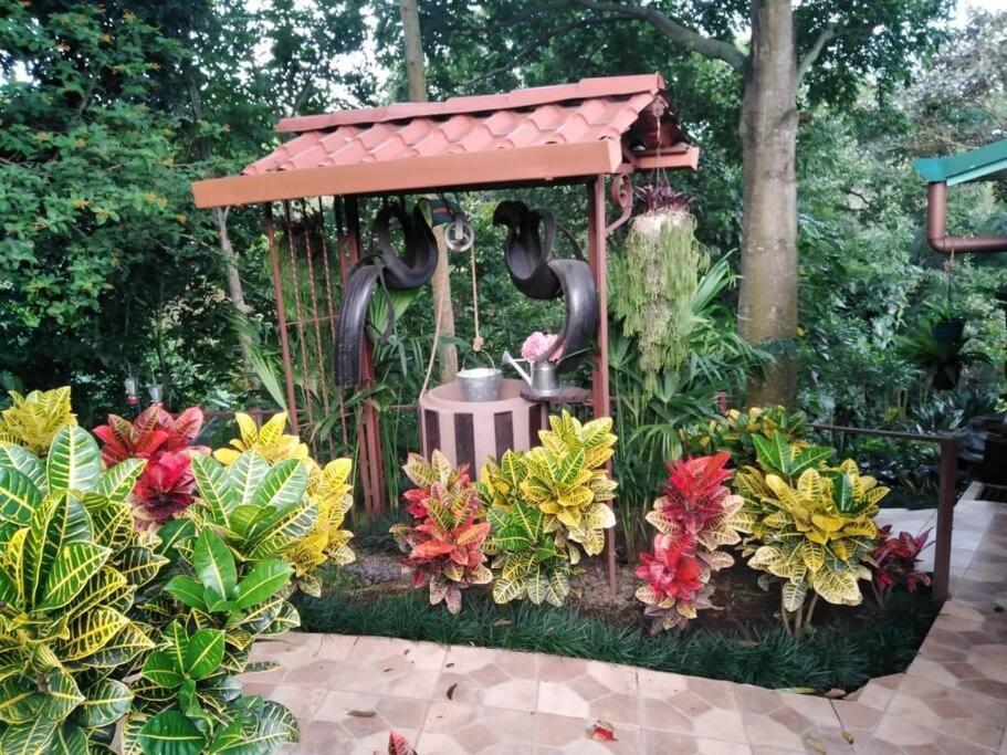 Eco Villas Tambor Tucanes Exterior foto