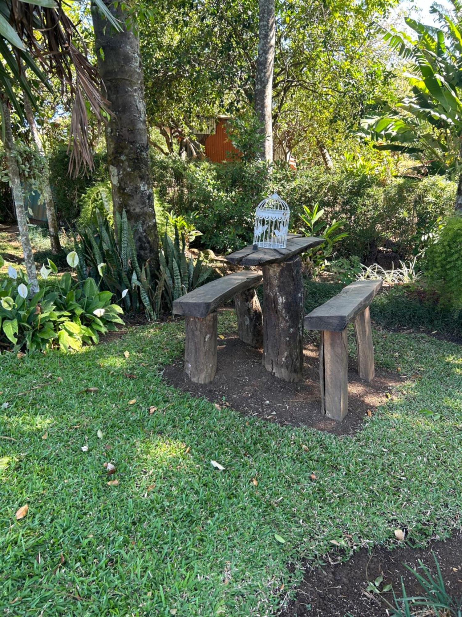 Eco Villas Tambor Tucanes Exterior foto