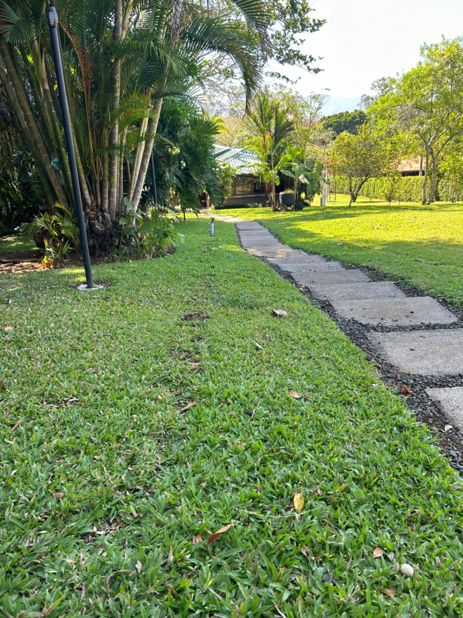 Eco Villas Tambor Tucanes Exterior foto